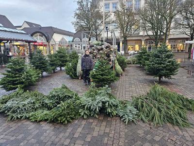 Weihnachtsbaumverkauf Hanses auf dem WoMa Neheim